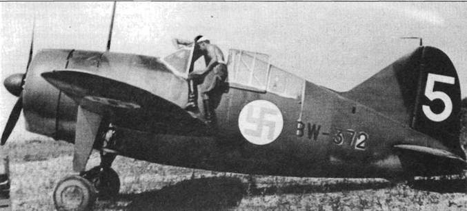 Brewster Buffalo Brewster Buffalo