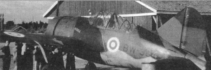 Brewster Buffalo Brewster Buffalo