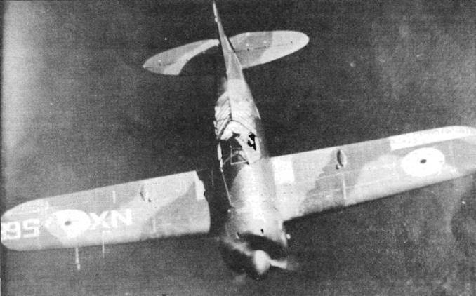 Brewster Buffalo Brewster Buffalo