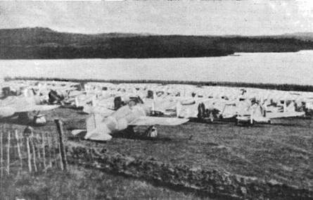 Brewster Buffalo Brewster Buffalo