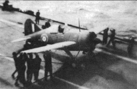 Brewster Buffalo Brewster Buffalo