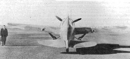 Brewster Buffalo Brewster Buffalo