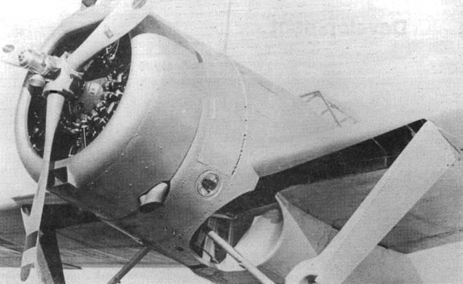 Brewster Buffalo Brewster Buffalo