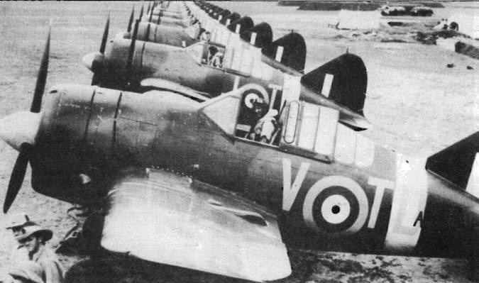 Brewster Buffalo Brewster Buffalo