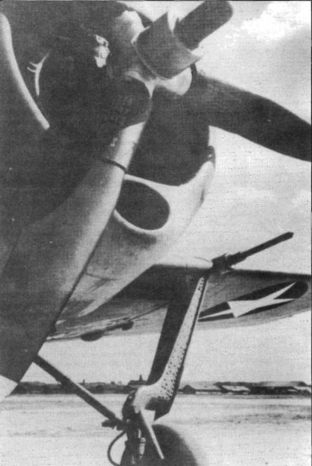 Brewster Buffalo Brewster Buffalo