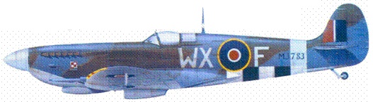 Британские асы пилоты «Спитфайров» Часть