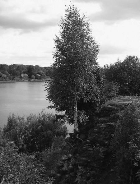 Славянская Европа V-VIII веков