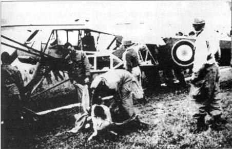 Fieseler Storch Fieseler Storch