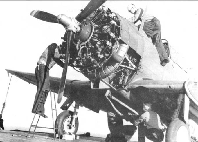 SBD «Dauntless» SBD «Dauntless»