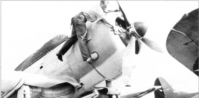 SBD «Dauntless» SBD «Dauntless»