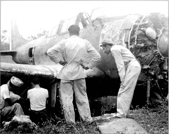 SBD «Dauntless» SBD «Dauntless»