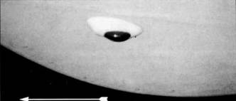 У-2 / По-2 У-2 / По-2