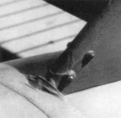 У-2 / По-2 У-2 / По-2