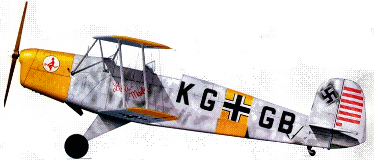 Истребители Люфтваффе в небе СССР. Операция «Барбаросса» июнь – декабрь 1941 г.