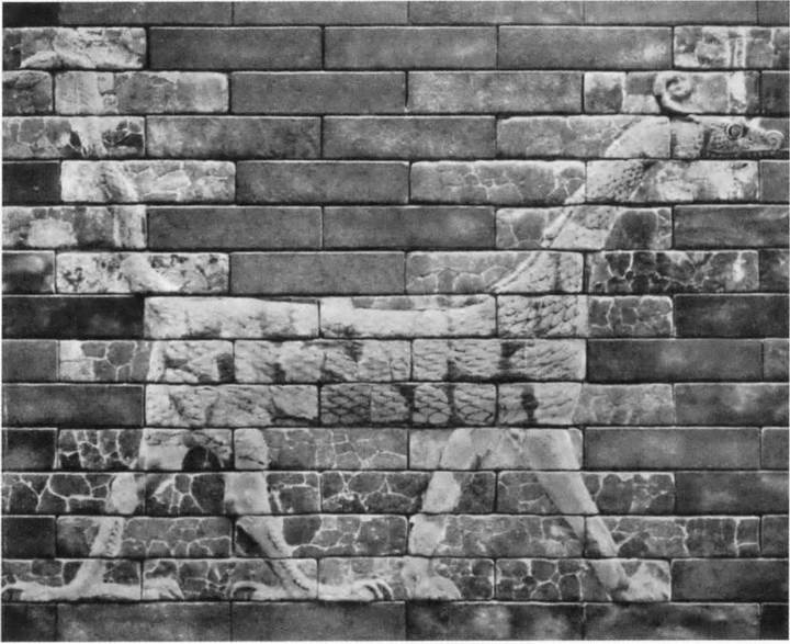 Навуходоносор II