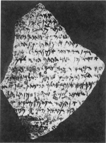 Навуходоносор II