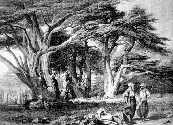 Сирия и Палестина под турецким правительством Сирия и Палестина под турецким правительством