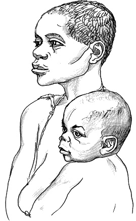 Тайная родословная человечества Тайная родословная человечества