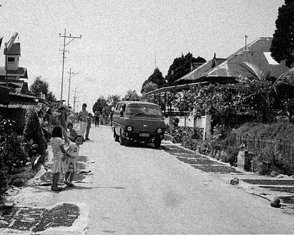 Пуговицы Наполеона. Семнадцать молекул, которые изменили мир Пуговицы Наполеона. Семнадцать молекул, которые изменили мир