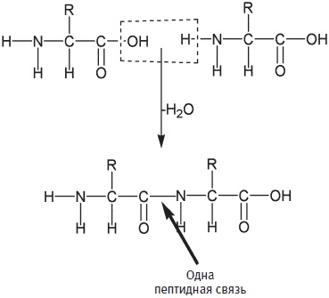 Пуговицы Наполеона. Семнадцать молекул, которые изменили мир Пуговицы Наполеона. Семнадцать молекул, которые изменили мир