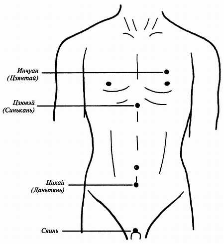 Цигун для здоровья и боевых искусств. Полный практический курс