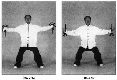 Цигун для здоровья и боевых искусств. Полный практический курс