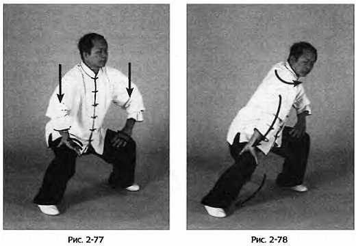 Цигун для здоровья и боевых искусств. Полный практический курс