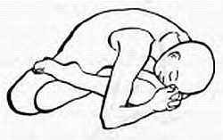 Дзэн-медитация. Базовые практики