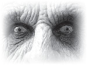 Когда зомби оживают... Призрачная магия Черного континента Когда зомби оживают... Призрачная магия Черного континента