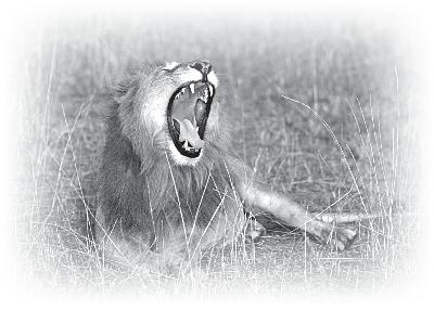 Когда зомби оживают... Призрачная магия Черного континента Когда зомби оживают... Призрачная магия Черного континента