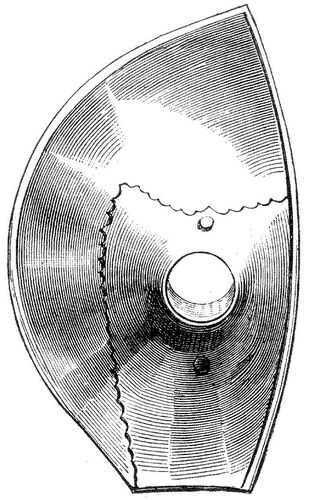 Жизнь и развлечения в средние века