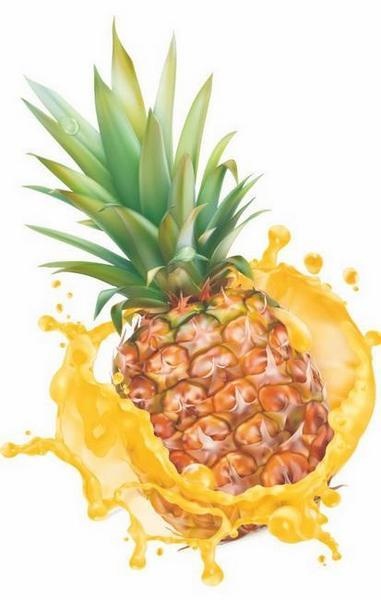 Vegan Life. Счастье легким путем. Главный тренд XXI века