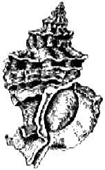 Загадки Финикии