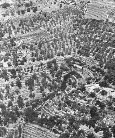 Загадки Финикии Загадки Финикии