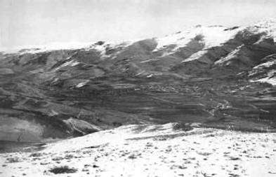 Загадки Финикии Загадки Финикии