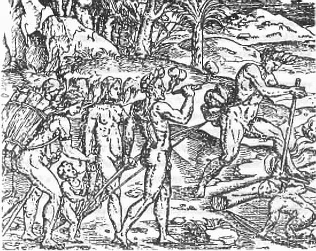 Дива Никотина Дива Никотина