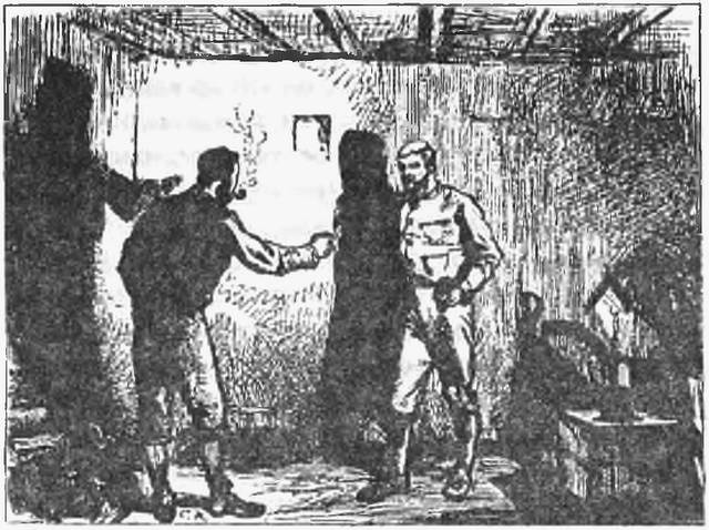 Дива Никотина