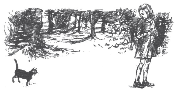 Мэри и ведьмин цветок