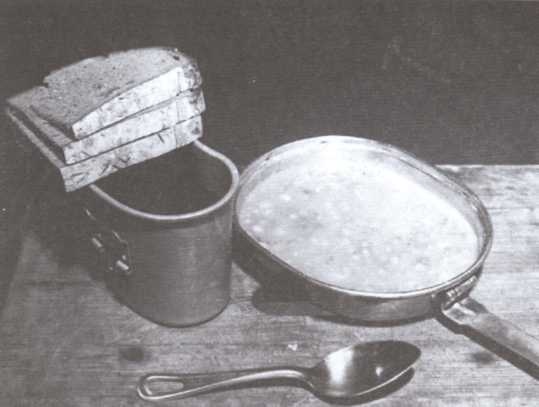 Нюрнбергский дневник