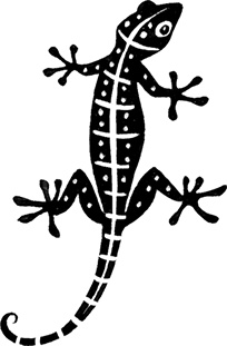 Мальчик из джунглей Мальчик из джунглей