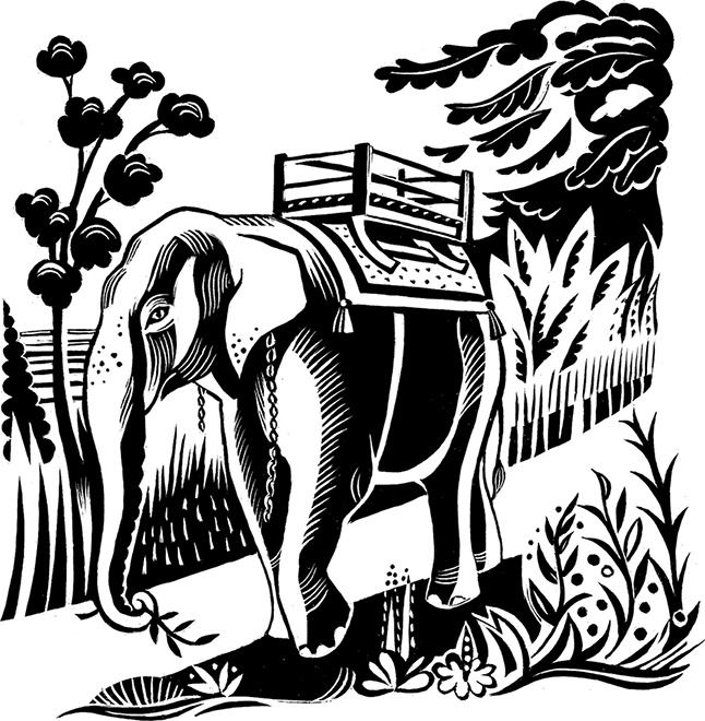 Мальчик из джунглей Мальчик из джунглей