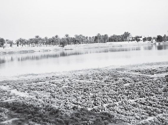 Шумер. Вавилон. Ассирия: 5000 лет истории Шумер. Вавилон. Ассирия: 5000 лет истории