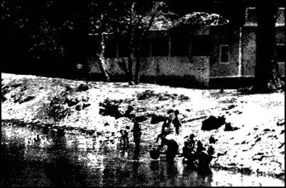 Глаза Сфинкса