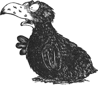 Румо, или Чудеса в темноте Румо, или Чудеса в темноте