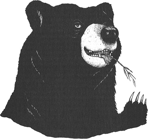 Румо, или Чудеса в темноте Румо, или Чудеса в темноте