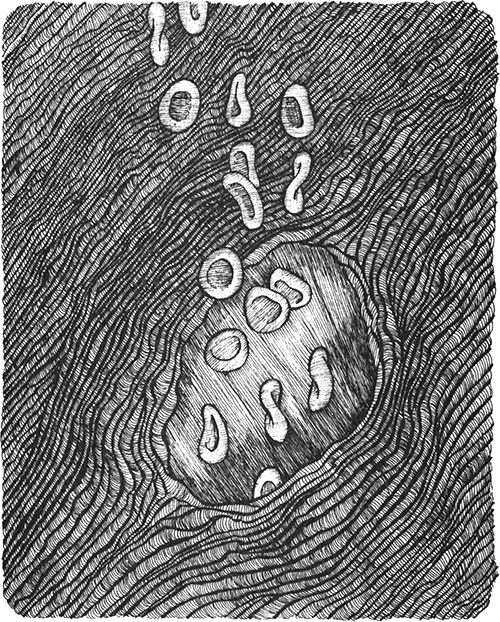 Румо, или Чудеса в темноте Румо, или Чудеса в темноте