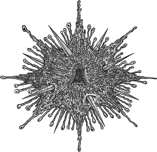 Румо, или Чудеса в темноте Румо, или Чудеса в темноте