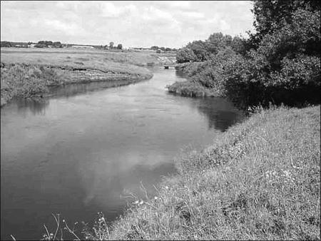 Загадки поля Куликова
