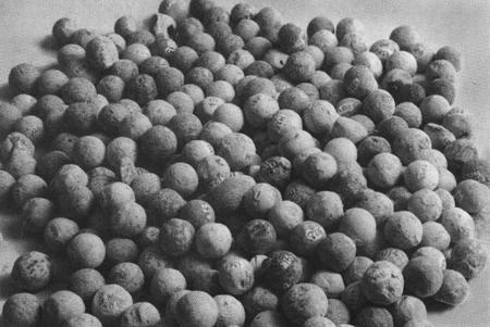 Повседневная жизнь русского офицера эпохи 1812 года Повседневная жизнь русского офицера эпохи 1812 года