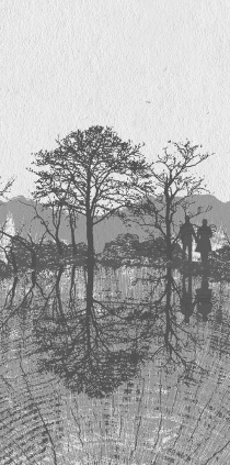 Шестнадцать деревьев Соммы